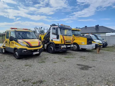 Na Lawecie Marek Szkutnik